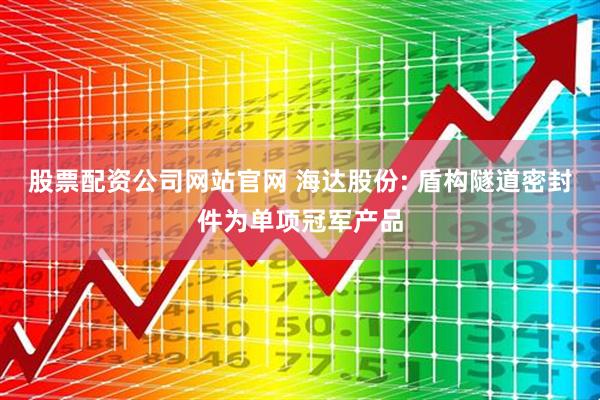 股票配资公司网站官网 海达股份: 盾构隧道密封件为单项冠军产品