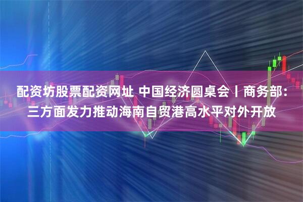 配资坊股票配资网址 中国经济圆桌会丨商务部：三方面发力推动海南自贸港高水平对外开放