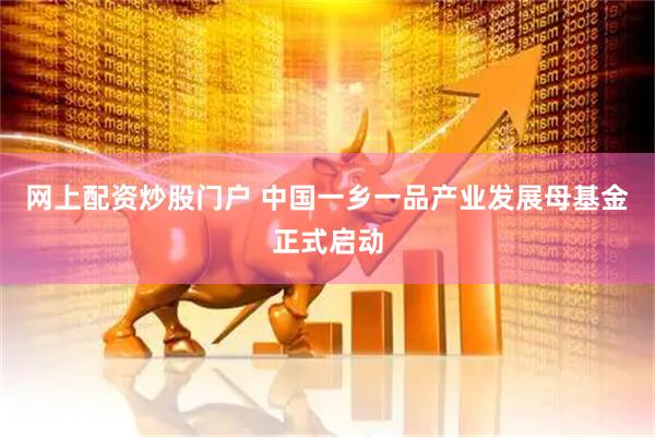 网上配资炒股门户 中国一乡一品产业发展母基金正式启动